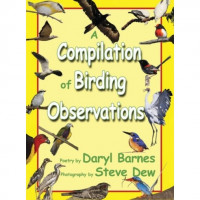 Image of A Compilation of Birding Observations